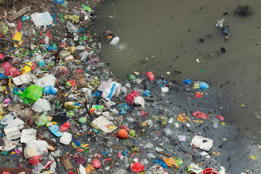 Quais são os principais prejuízos do descarte de lixo nos rios?