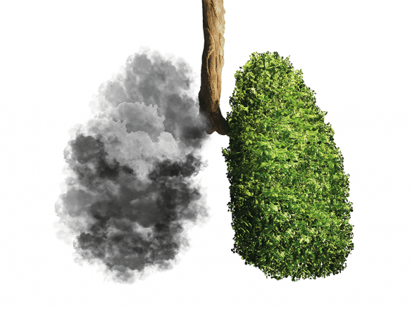 Imagem que lembra um pulmão, com um lado de folhas verdes e outro formado por fumaça, em alusão ao Dia Mundial do Meio Ambiente.