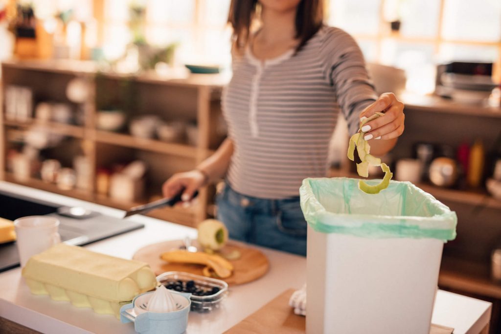 6 lembretes de ações de cuidados com o meio ambiente para começar em casa