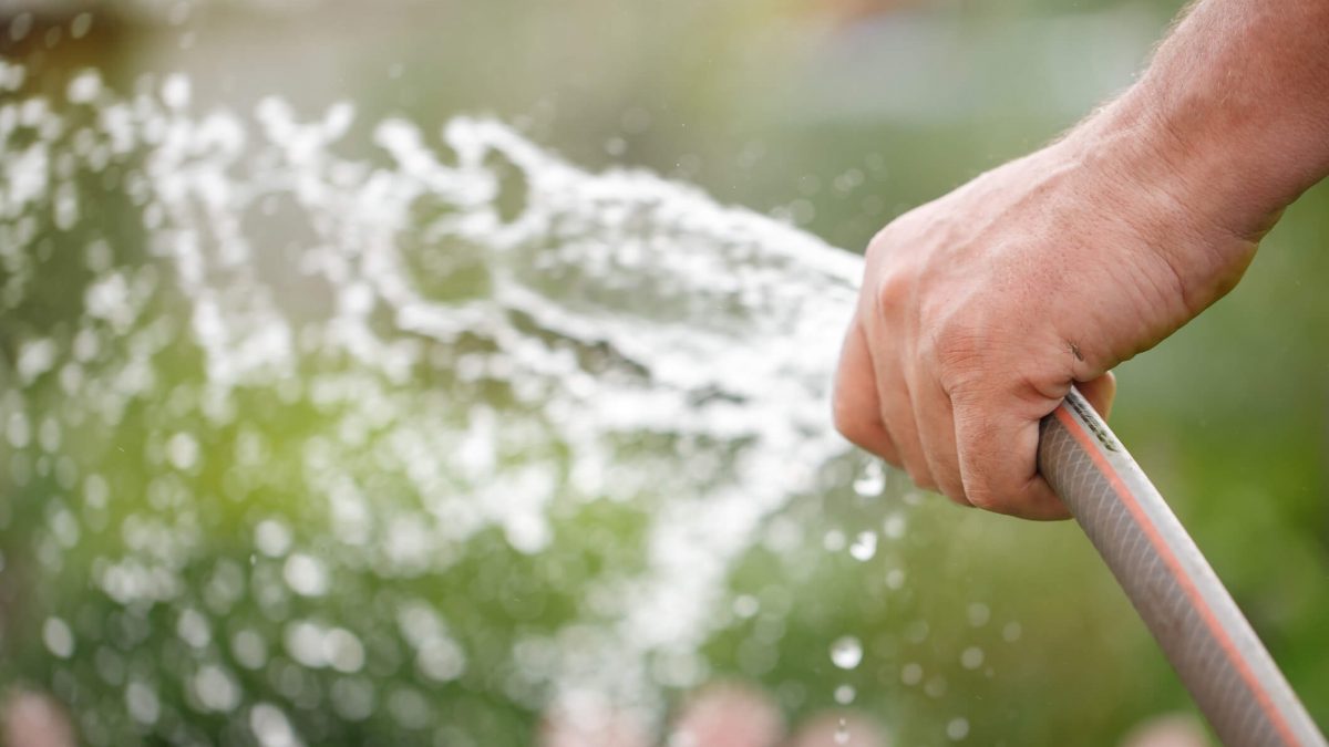 Gato de água: os principais prejuízos da ligação clandestina de água