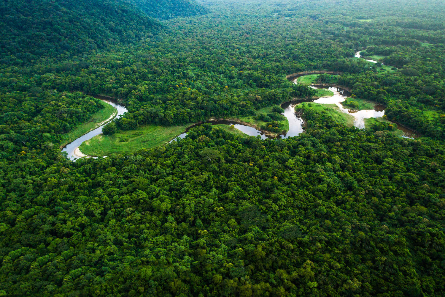 Sustentabilidade com o Google: ajudando a preservar a Amazônia e a