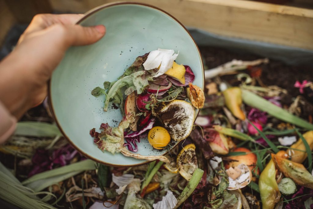 Compostagem: a importância desse processo de reciclagem para a sociedade