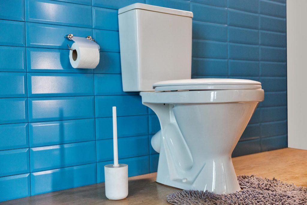História do vaso sanitário: o surgimento e a necessidade desse item tão importante