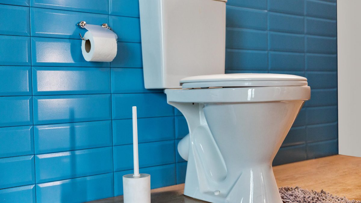 História do vaso sanitário: o surgimento e a necessidade desse item tão importante