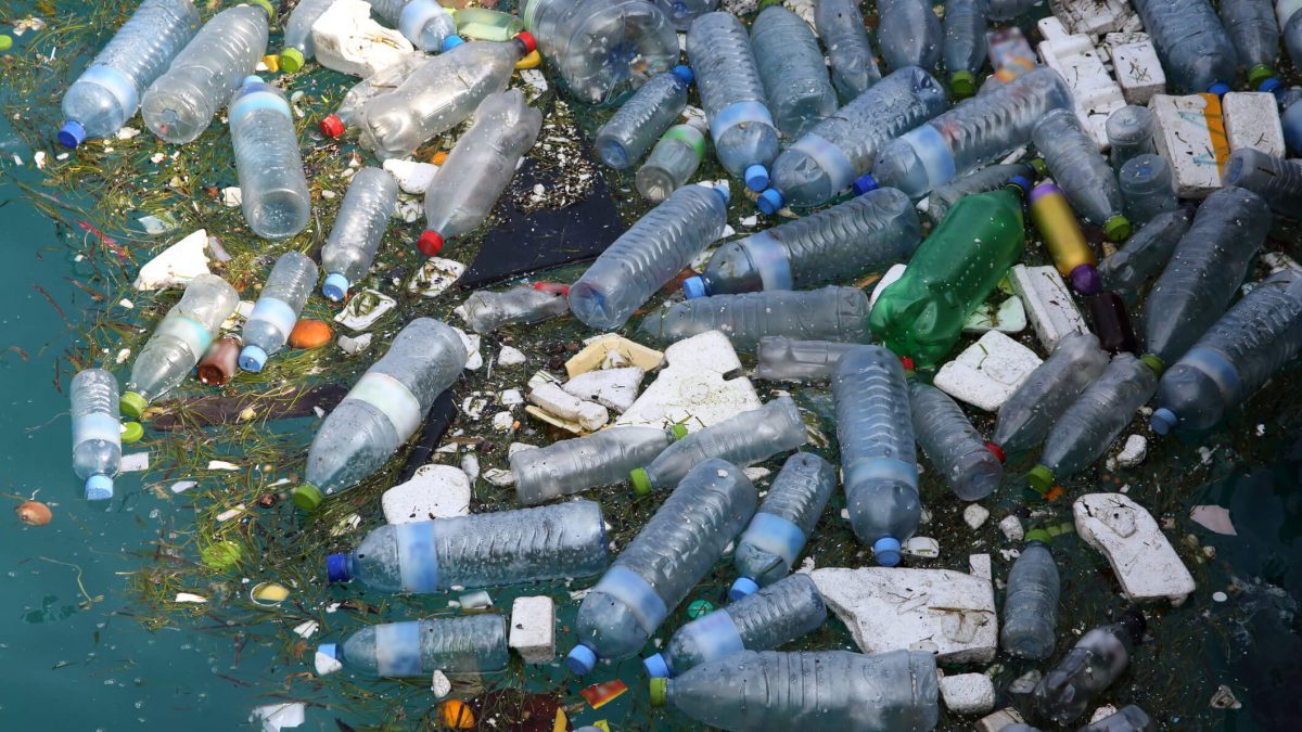 Lixo plástico: os impactos na natureza e por que é preciso reduzir o consumo