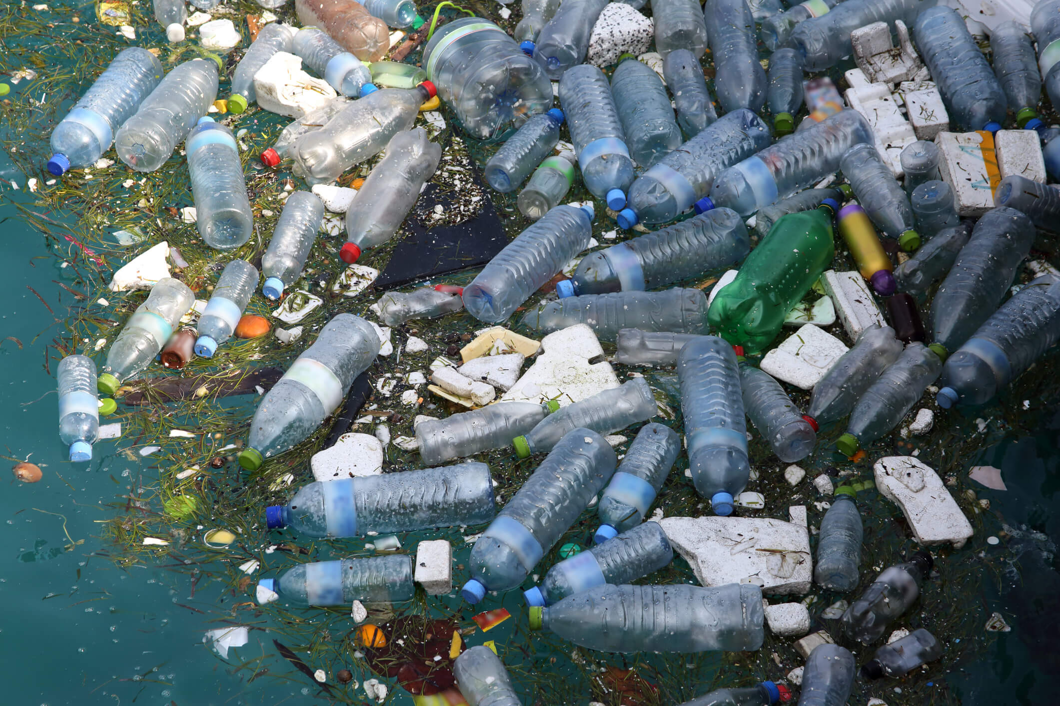 Влияние пластиков на окружающую среду. Загрязнение пластиковыми бутылками. Загрязнение полимерами. Пластиковые бутылки в океане.