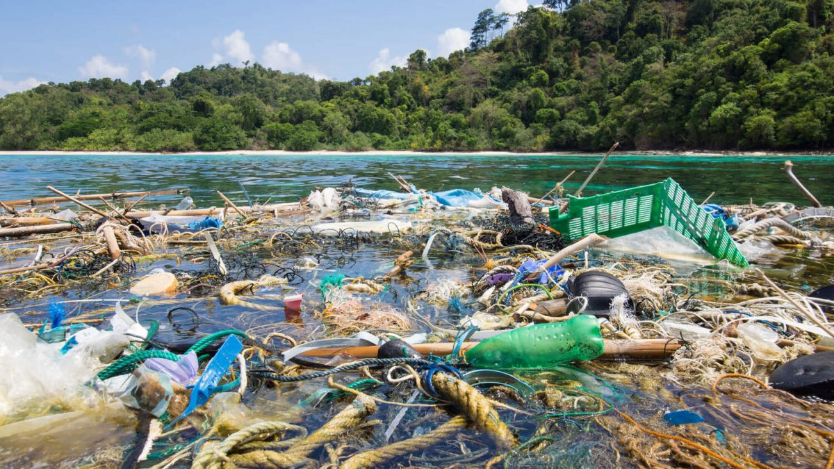Ilhas de plástico: veja os desafios da preservação ambiental