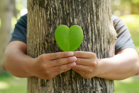 uma árvore é abraçada por uma criança, que segura, na frente do tronco, uma folha em formato de coração