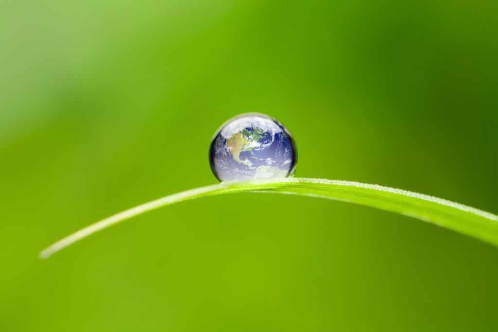 Preservação ambiental: conheça seu papel na proteção da natureza