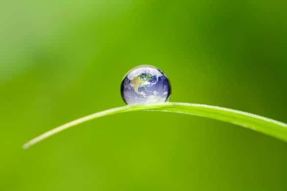 Preservação ambiental: uma gota em que se v^Çe o planeta terra está sobre uma folhagem de planta