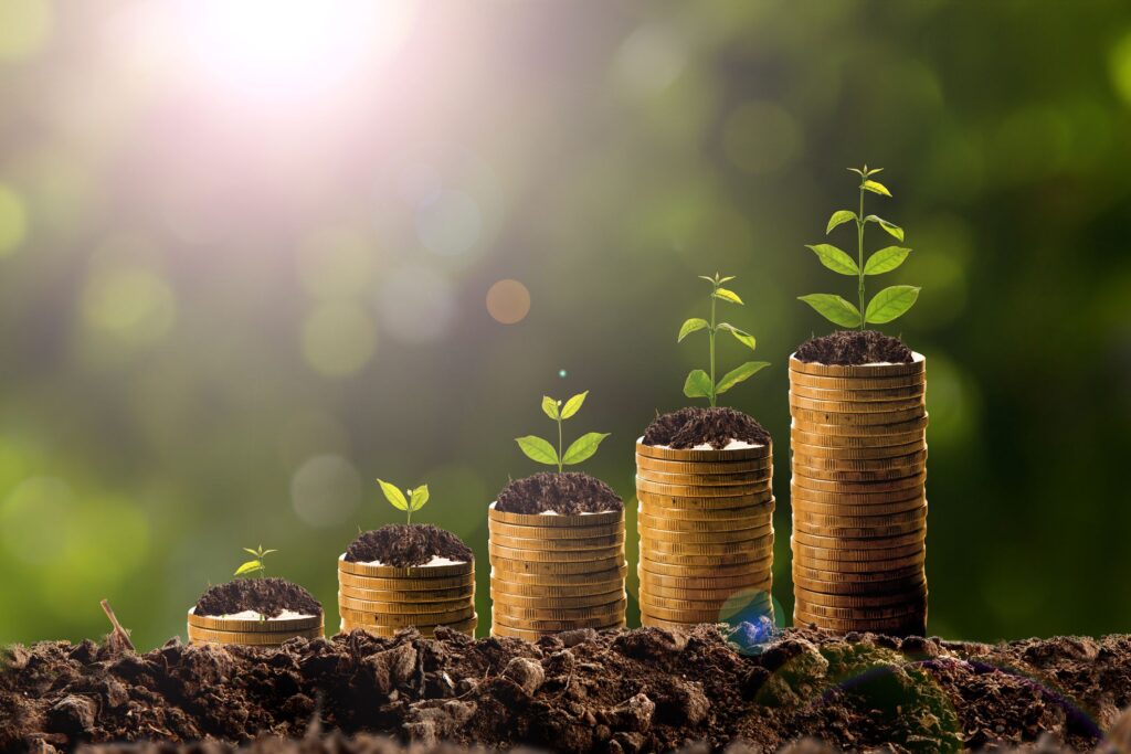 Economia verde: conheça o conceito e suas características