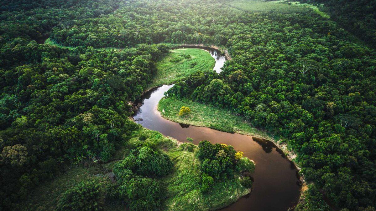 Saiba quais as principais bacias hidrográficas do Brasil